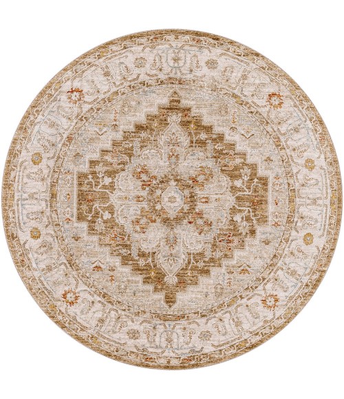 Surya Avant Garde AVT-2315 5'3 Round Rug