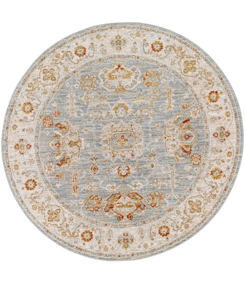 Surya Avant Garde AVT-2318 5'3 Round Rug