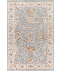 Surya Avant Garde AVT2318 Denim Sage Area Rug 12 ft. X 15 ft. Rectangle