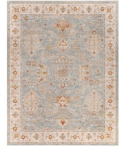 Livabliss Avant Garde AVT2318 Denim Sage Area Rug 7 ft. 10 in. X 10 ft. 3 in. Rectangle