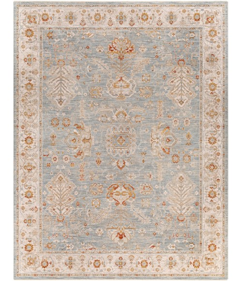 Surya Avant Garde AVT-2318 7'10 x 10'3 Rug