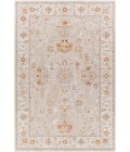 Surya Avant Garde AVT-2319 2' x 3' Rug