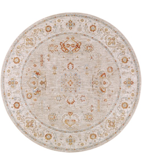 Surya Avant Garde AVT-2319 6'7 Round Rug