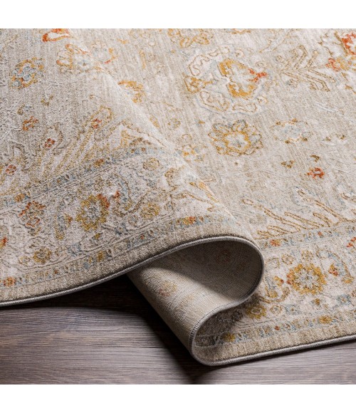 Surya Avant Garde AVT-2319 2' x 3' Rug