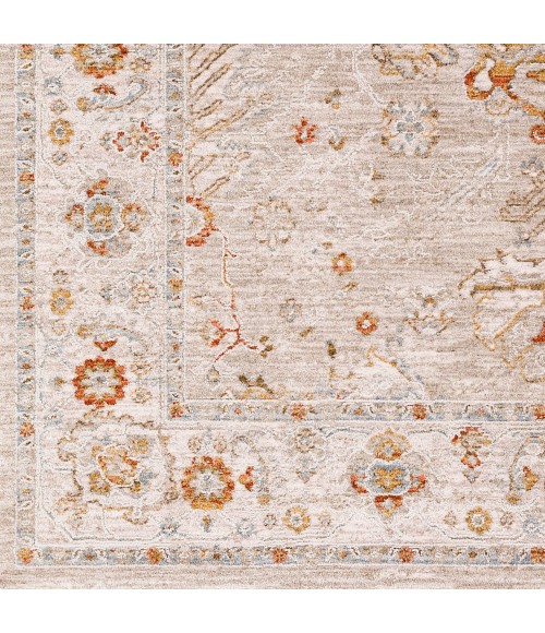 Surya Avant Garde AVT-2319 2' x 3' Rug
