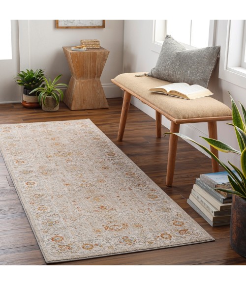 Surya Avant Garde AVT-2319 2'7 x 10' Rug