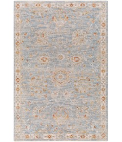 Surya Avant Garde AVT2322 Denim Pale Blue Area Rug 9 ft. X 12 ft. 2 in. Rectangle