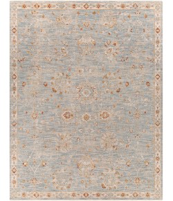 Surya Avant Garde AVT2322 Denim Pale Blue Area Rug 7 ft. 10 in. X 10 ft. 3 in. Rectangle