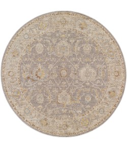 Surya Avant Garde AVT2380 Taupe Light Grey Area Rug 10 ft. X 14 ft. Rectangle