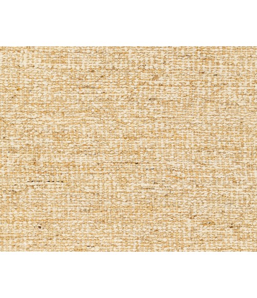 Surya Aylin Rug AYI2303