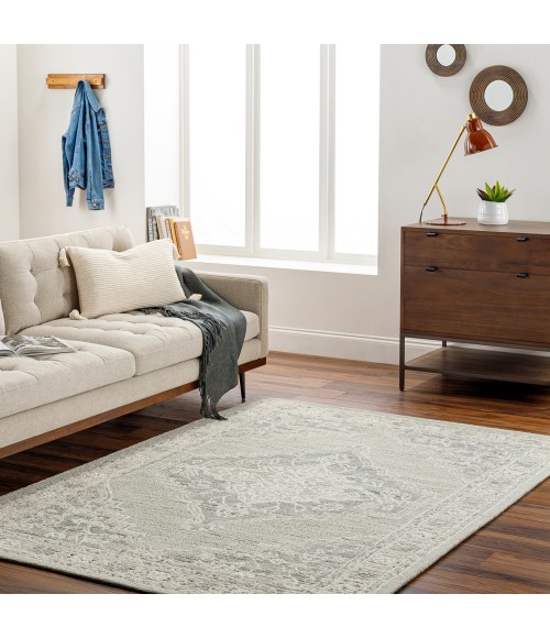 Livabliss Addyson Rug AYO2303