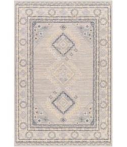 Surya Addyson AYO2304 Light Gray Charcoal Area Rug 2 ft. X 3 ft. Rectangle