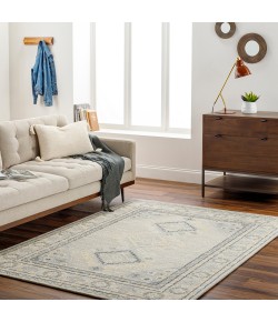 Livabliss Addyson AYO2304 Light Gray Charcoal Area Rug 2 ft. X 3 ft. Rectangle