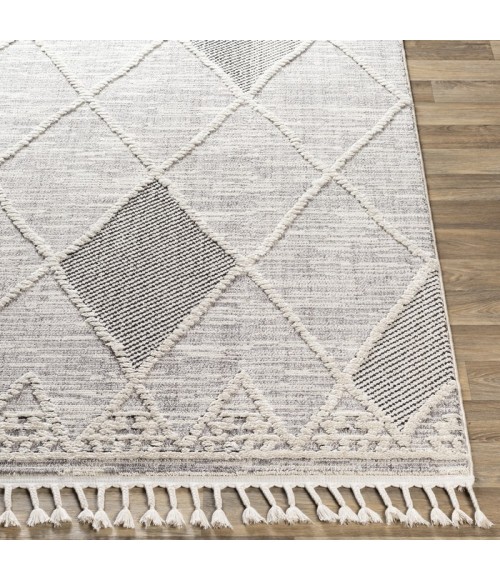 Livabliss Amelie AML-2309 Area Rug