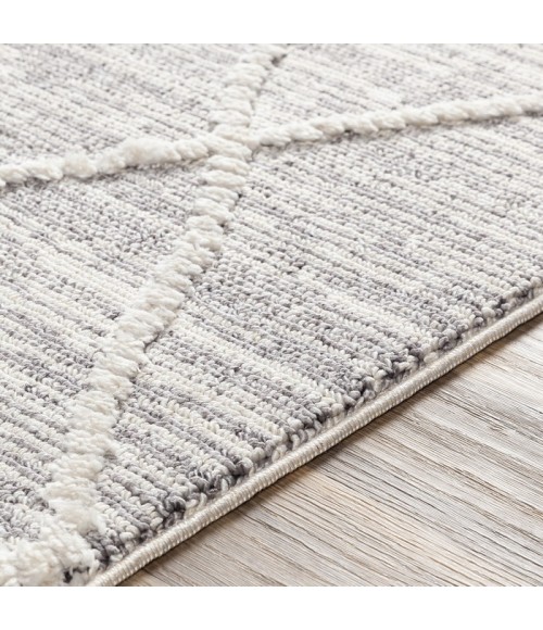 Surya Azilal AZI-2304 Area Rug