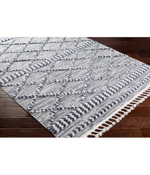 AZILAL RUG Surya Azilal AZI-2309 Area Rug