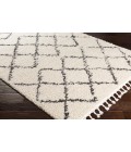 BERBER SHAG RUG Surya Berber Shag BBE-2300-2x3 rug