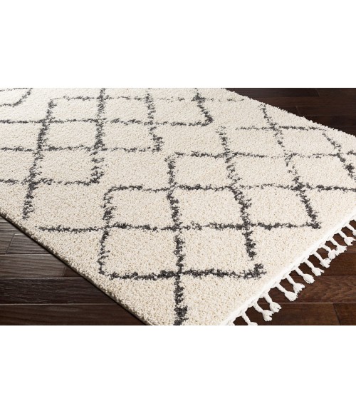 BERBER SHAG RUG Surya Berber Shag BBE-2300-2x3 rug