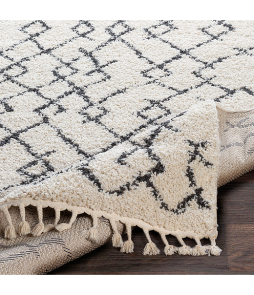 BERBER SHAG RUG Surya Berber Shag BBE-2301-35