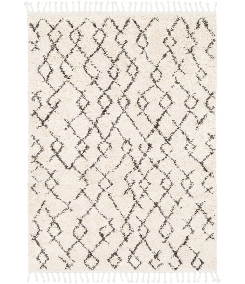 Livabliss Berber Shag BBE-2301-53x73 rug