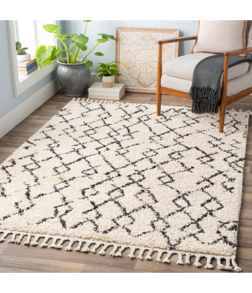 BERBER SHAG RUG Surya Berber Shag BBE-2301-35