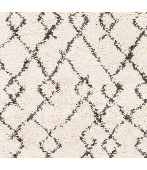 Livabliss Berber Shag BBE-2301-710x103 rug