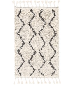 Surya Berber Shag BBE2303 Charcoal Beige Area Rug 2 ft. X 2 ft. 11 in. Rectangle