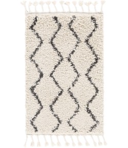 Livabliss Berber Shag BBE2303 Charcoal Beige Area Rug 2 ft. X 2 ft. 11 in. Rectangle