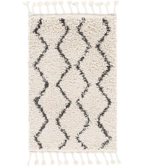 BERBER SHAG RUG Livabliss Berber Shag BBE-2303-2x3 rug
