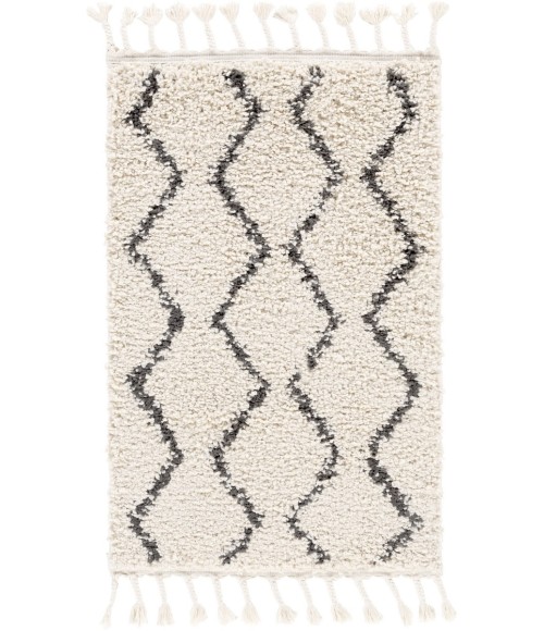 Surya Berber Shag BBE-2303-2x3 rug