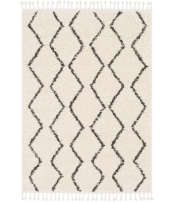 Surya Berber Shag BBE2303 Charcoal Beige Area Rug 5 ft. 3 in. X 7 ft. 3 in. Rectangle