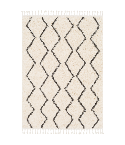 BERBER SHAG RUG Surya Berber Shag BBE-2303-35