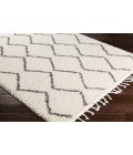 Surya Berber Shag BBE-2303-2x3 rug