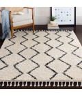 BERBER SHAG RUG Livabliss Berber Shag BBE-2303 Area Rug