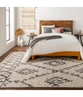 BERBER SHAG RUG Surya Berber Shag BBE-2305-2773