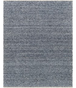 Surya Boculette BCT-2302 2' x 3' Rectangle Rug