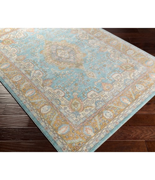 Surya Bodrum BDM-2300 Area Rug