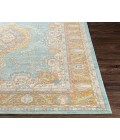 Surya Bodrum BDM-2300 Area Rug