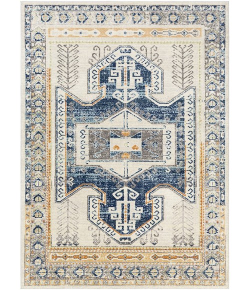 BODRUM RUG Surya Bodrum BDM-2319 Area Rug
