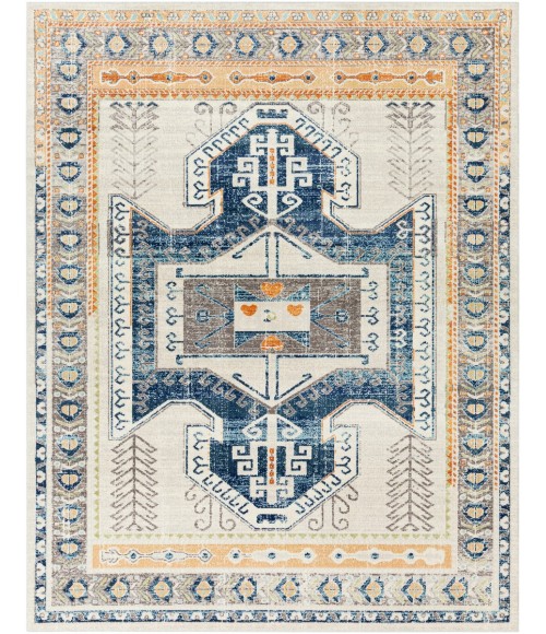 BODRUM RUG Surya Bodrum BDM-2319 Area Rug