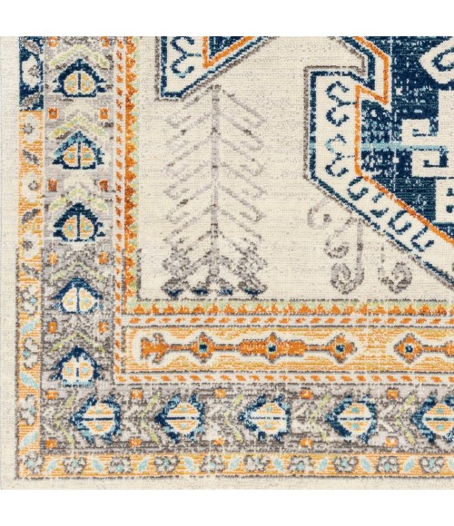 BODRUM RUG Surya Bodrum BDM-2319 Area Rug