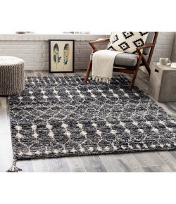 Surya Birch BHC2301 Charcoal Medium Gray Area Rug 8 ft. X 10 ft. Rectangle