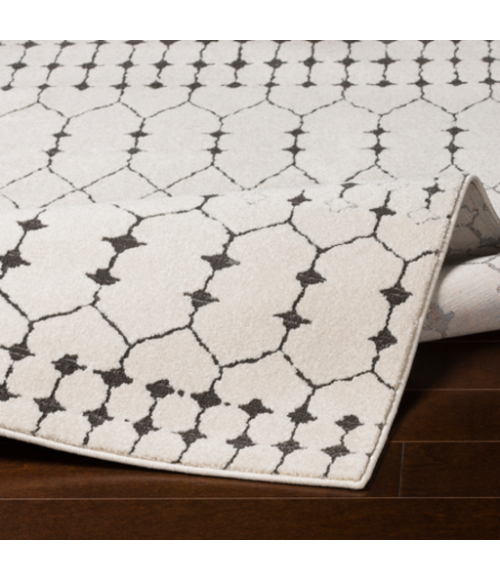 BAHAR RUG Surya Bahar BHR-2312-93123