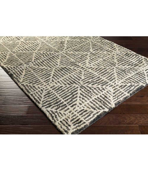 Surya Bjorn BJR-1004-2x3 rug