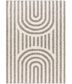 Livabliss Birmingham BMM2305 Ivory Gray Area Rug 5 ft. 3 in. X 7 ft. Rectangle