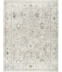 Surya Becki Owens Davina BOCC2300 Medium Gray Light Beige Area Rug 7 ft. 10 in. X 10 ft. Rectangle