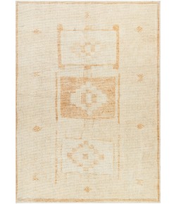 Surya Becki Owens Solana BOOC2300 Burnt Orange Ivory Area Rug 6 ft. 7 in. X 9 ft. Rectangle