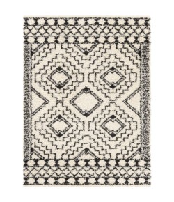 Livabliss Beni Shag BSH2300 Multi Area Rug 5 ft. 3 in. X 7 ft. Rectangle