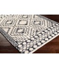 BENI SHAG RUG Livabliss Beni shag BSH-2300 5 3 x 7 Rug
