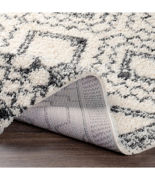 BENI SHAG RUG Livabliss Beni shag BSH-2300 5 3 x 7 Rug